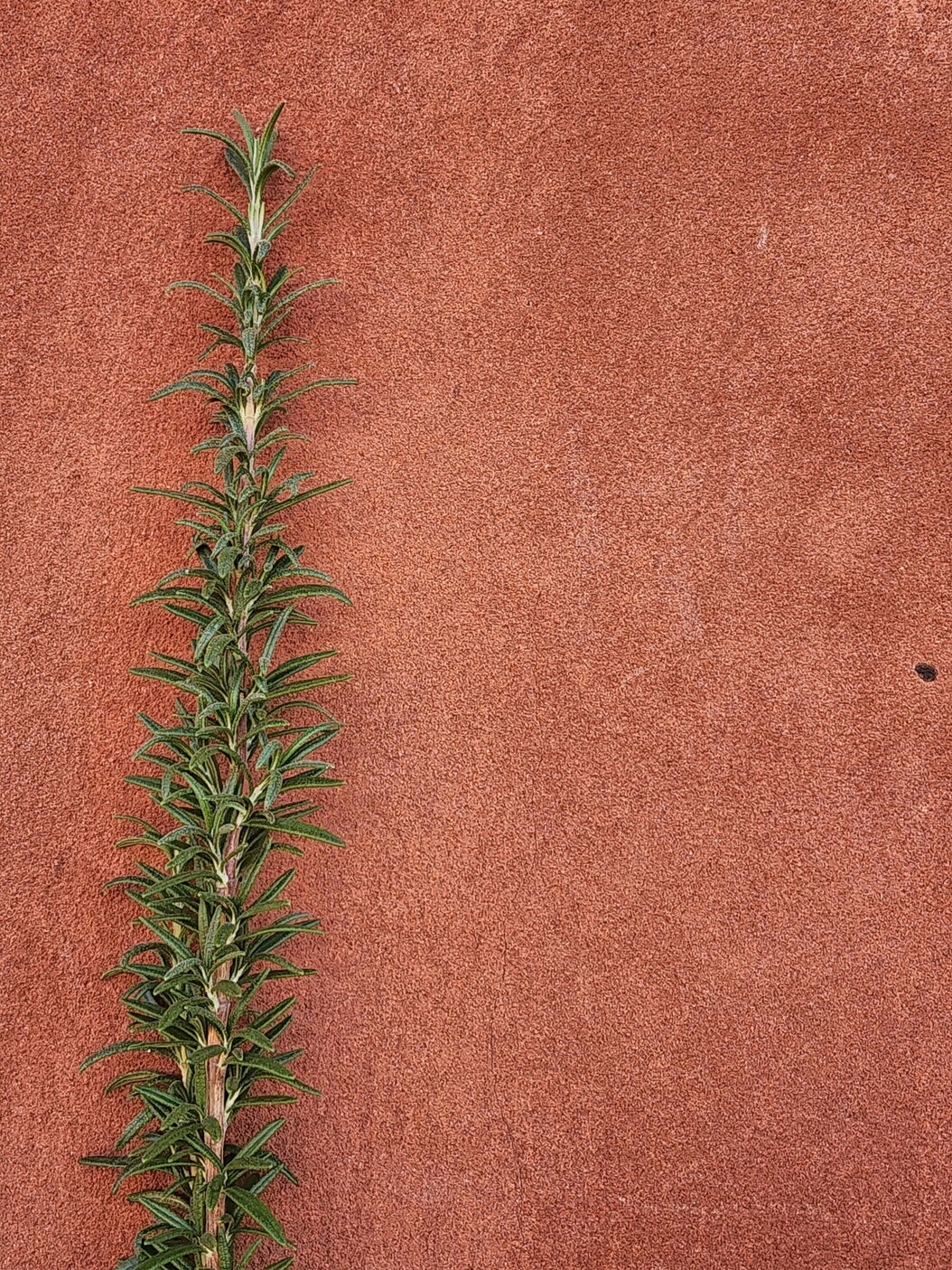 Tradicionalna gradnja